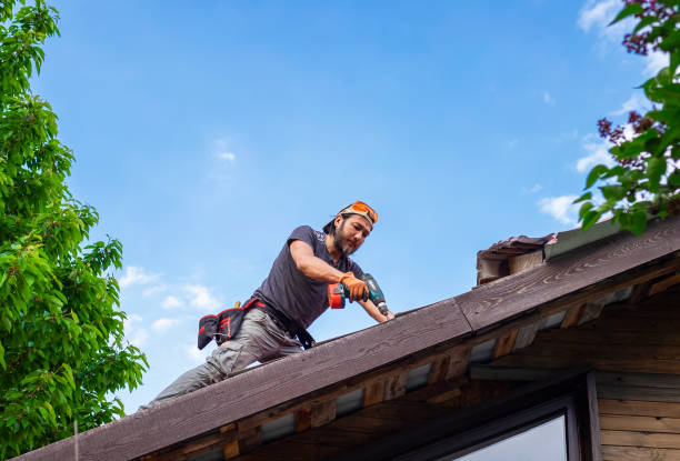 Best Emergency Roof Repair Services  in Wacousta, MI